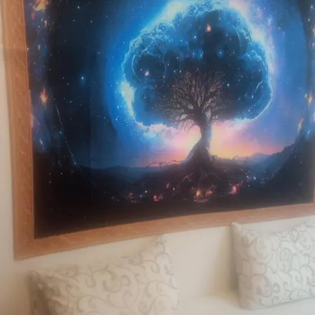 Ano New Renovation *