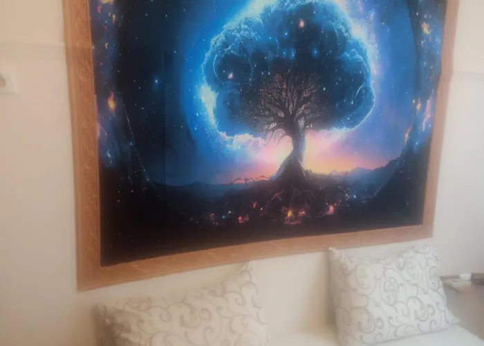 Ano New Renovation *